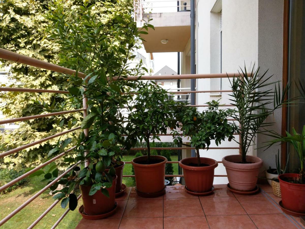 Mandarin Wellness Apartman Siófok Eksteriør bilde